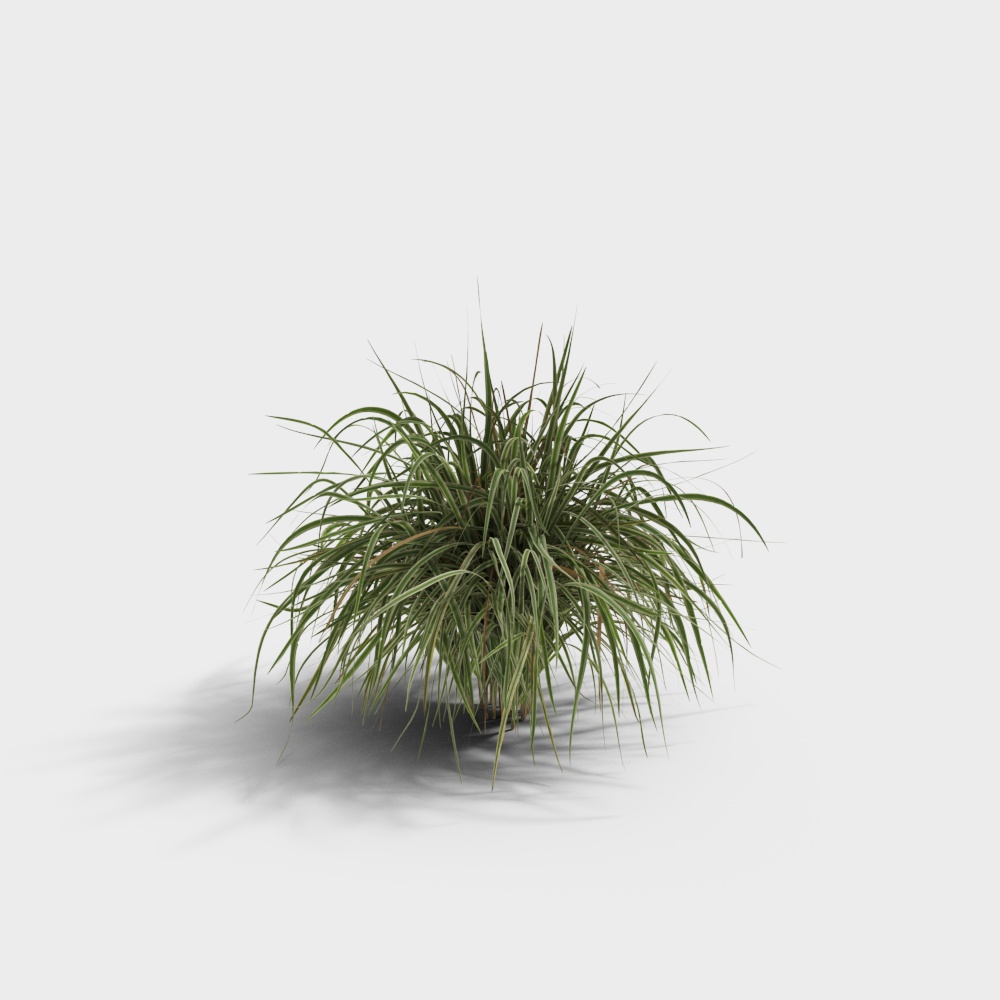 Modern Outdoor Flowers, Shrubs, and Variegated Reed Grass