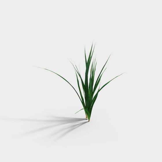 Realistic Grass Plant 3D Model for Designers