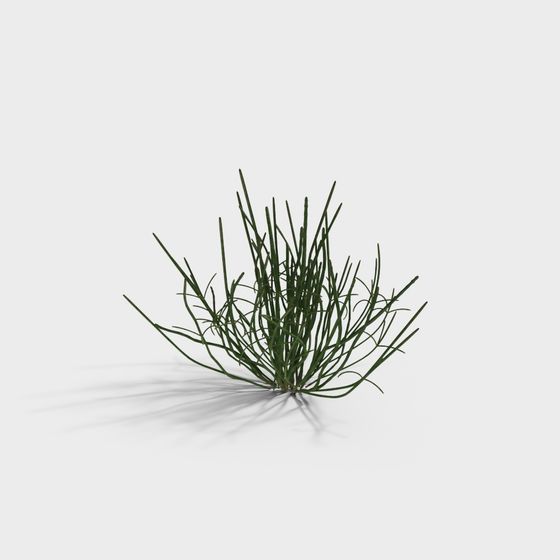 Vibrant Grass Sprite 3D model for Creative Projects