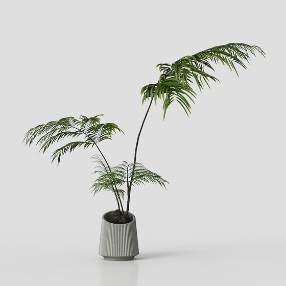 Stylish Tropical Plant 3D model for Interiors