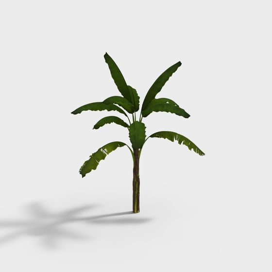 Vibrant Banana Tree 3D model for Tropical Ambiance