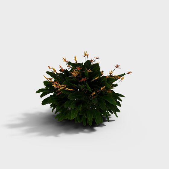 Tropical Plant 3D Model for Designers and Developers