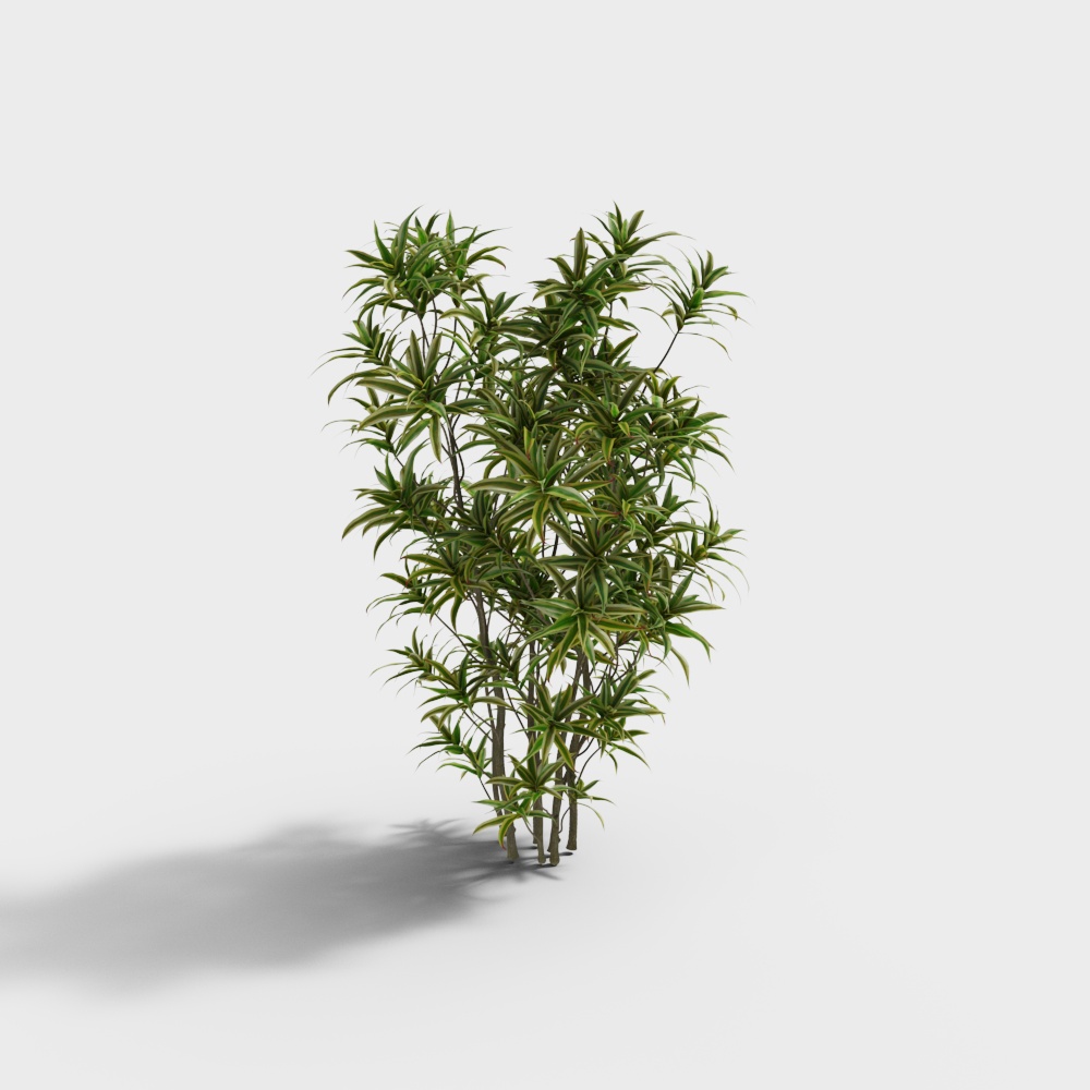 Modern Outdoor Watermelon