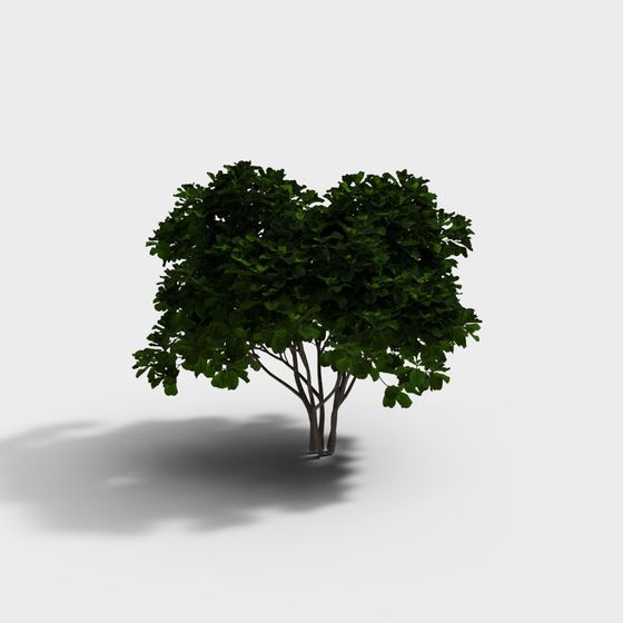 Lively 3D Tree Model for Creative Spaces