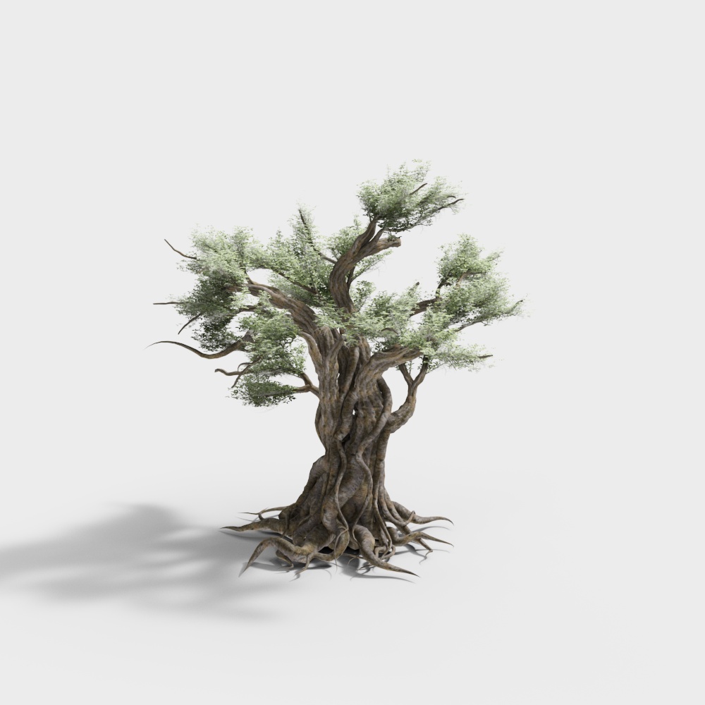 Ancient Tree 3D model