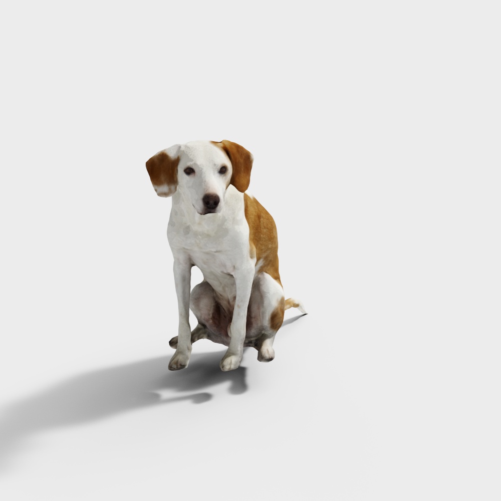 Bella Low-Poly Dog 3D model