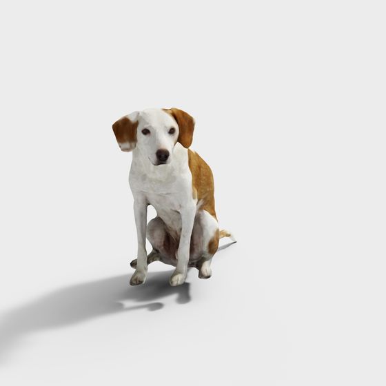 Bella Low-Poly Dog 3D model