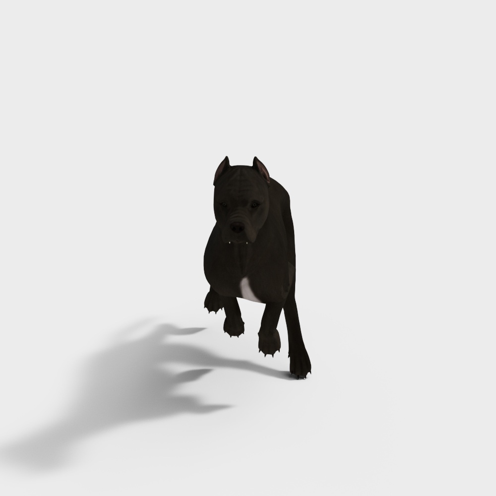 Realistic Low-Poly Pit Bull 3D Model