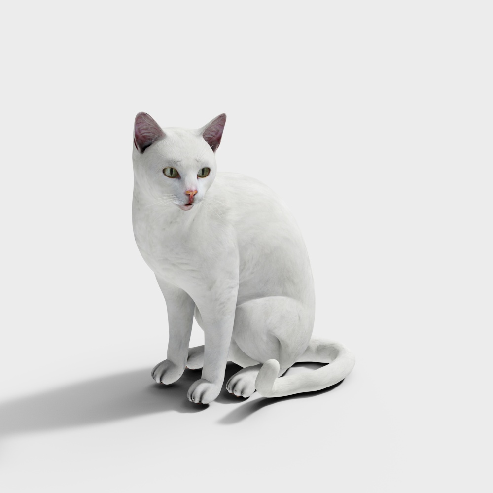 Elegant White Cat 3D model - Snow Shadow