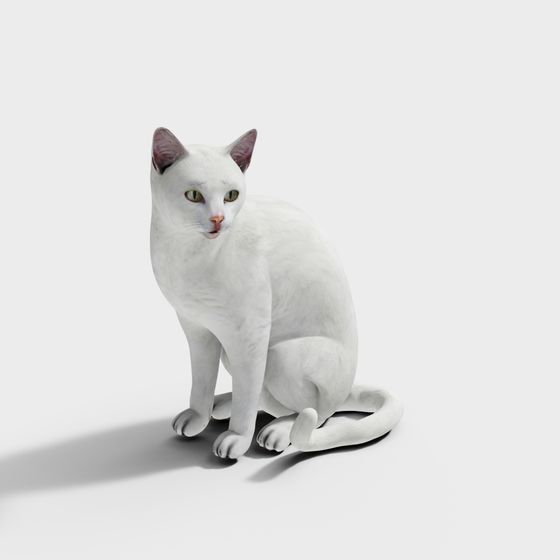 Elegant White Cat 3D model - Snow Shadow