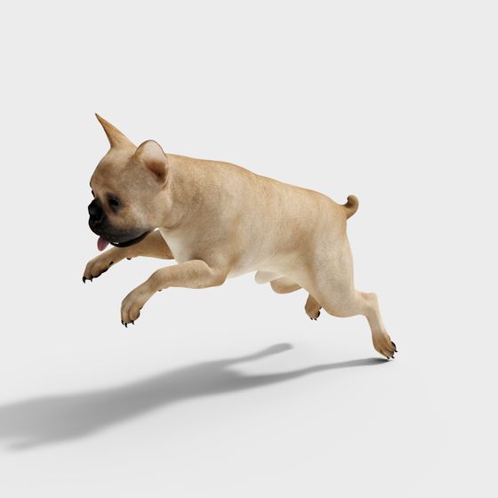 Realistic Low-Polygon French Bulldog 3D Model