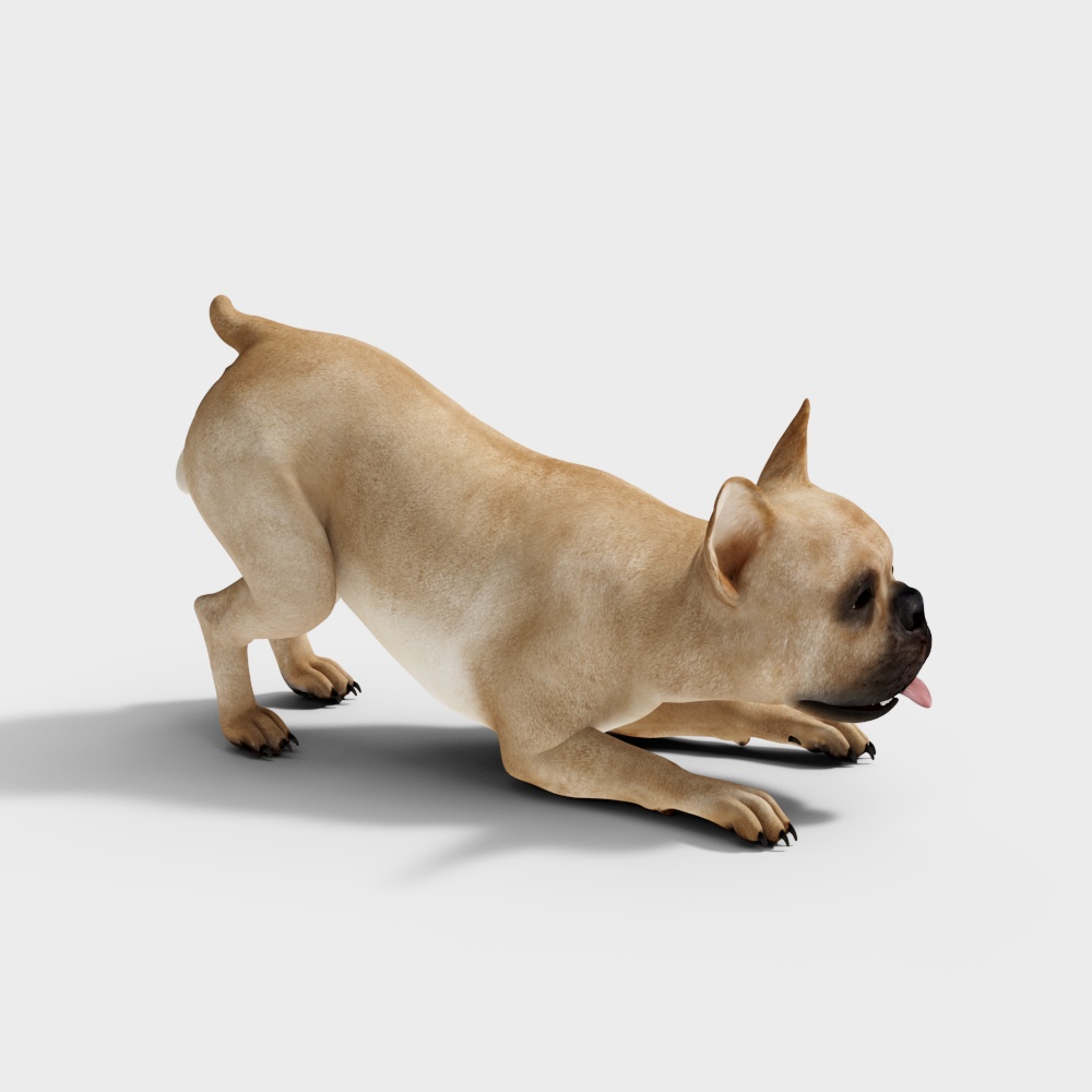Charming French Bulldog 3D model