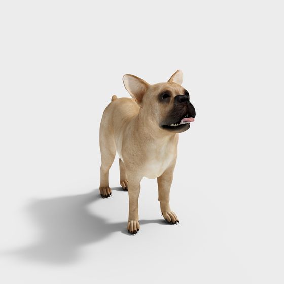 Charming French Bulldog 3D model for Creative Projects