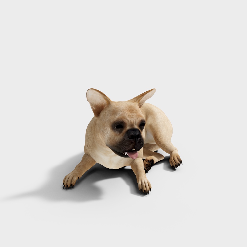 Realistic French Bulldog 3D model