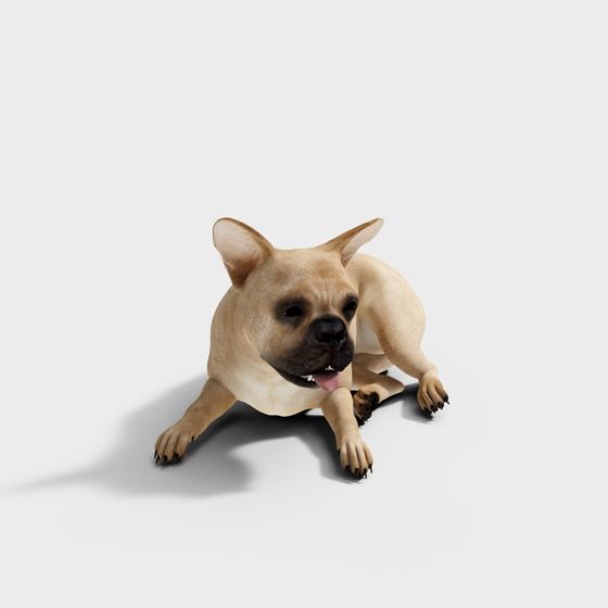 Realistic French Bulldog 3D model