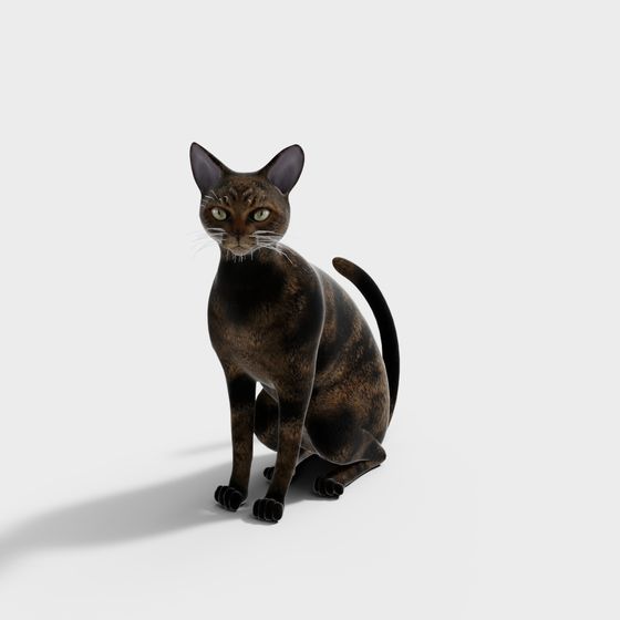 Savannah Cat 3D Model - Low Poly High Detail