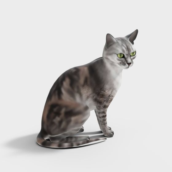 Elegant Gray Cat 3D model