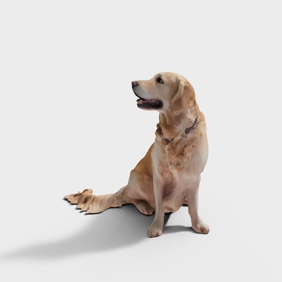 Charming Golden Retriever 3D model for Creative Projects