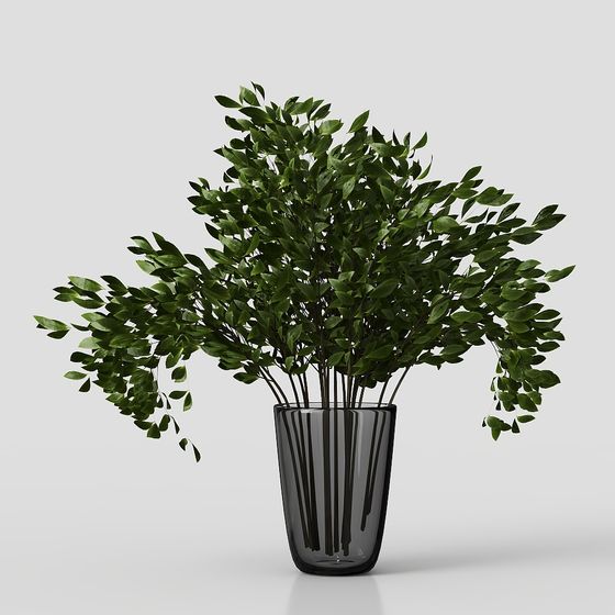 Urban Green Plant 3D model