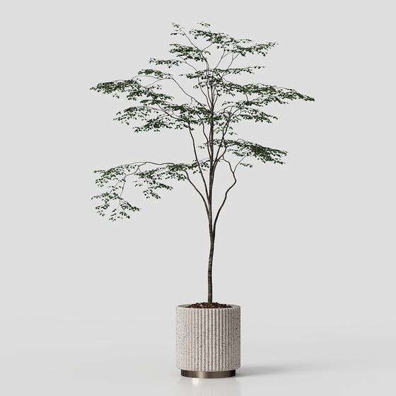 Urban Oasis Indoor Potted Plant 3D model