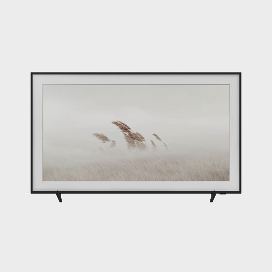 Morning Mist Reed 3D Model for Creative Projects