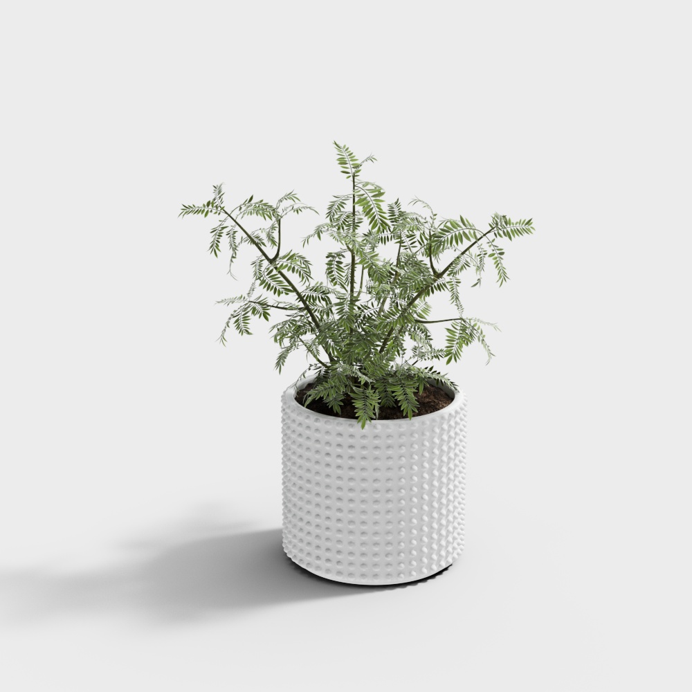 Green Plant Pot