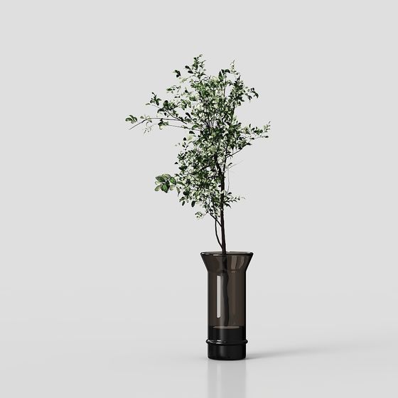 Lively Indoor Plant 3D Model for Creative Projects