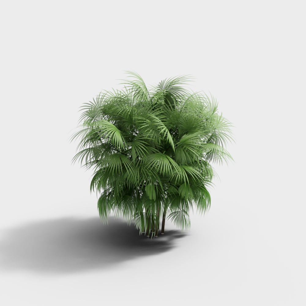 Tropical Palm Tree 3D Model for Creative Projects