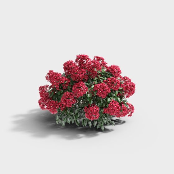 Fleur de feuilles de plantes vertes modernes de milieu de siècle