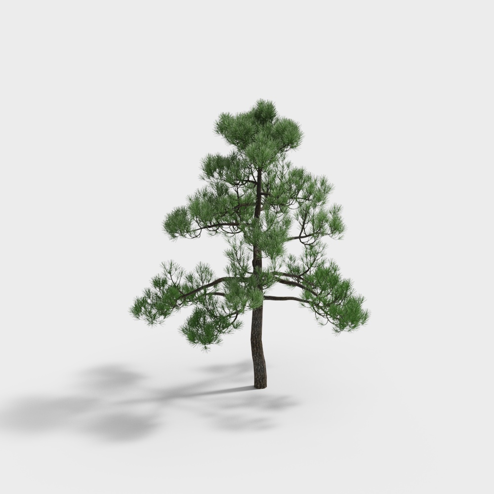 Realistic Pine Tree 3D model
