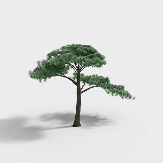 Cây thông phong cách tân cổ điển Trung Quốc