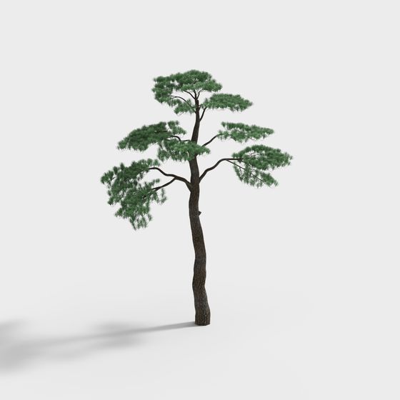 Realistic Low-Poly Pine Tree 3D model