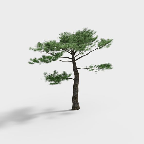 Realistic 3D Pine Tree Model for Creative Projects