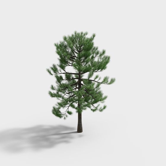 Realistic Low-Poly Pine Tree 3D Model