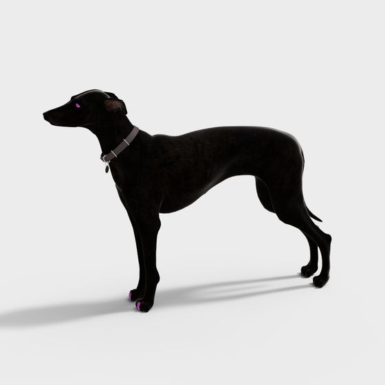 Elegant Greyhound 3D Model: Speedy