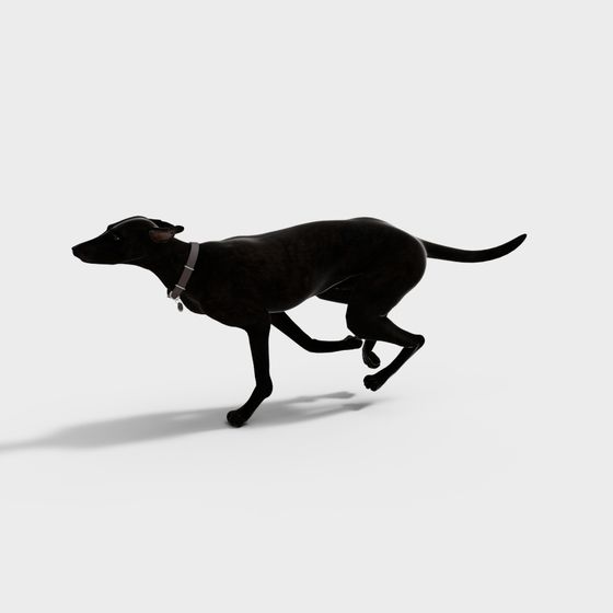 Racing Greyhound Low-Poly 3D Model for Creative Projects