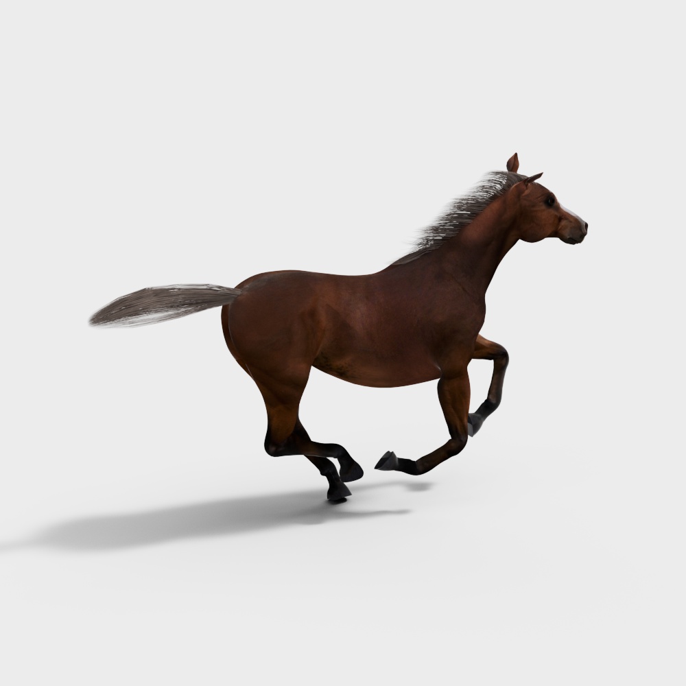 Galloping Wild Horse 3D model