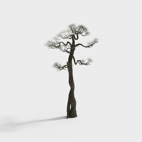 Ancient Twisted Tree 3D model