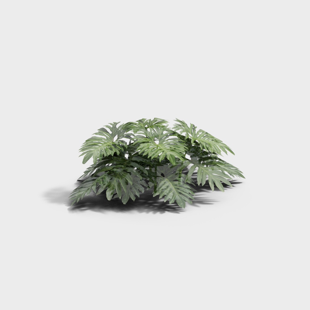 Fodera Primaverile per Letto di Fiori Moderna