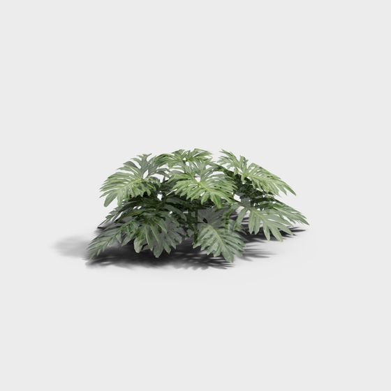 Fodera Primaverile per Letto di Fiori Moderna