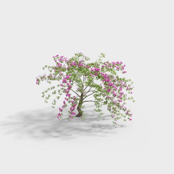 モダンな葉つきの花