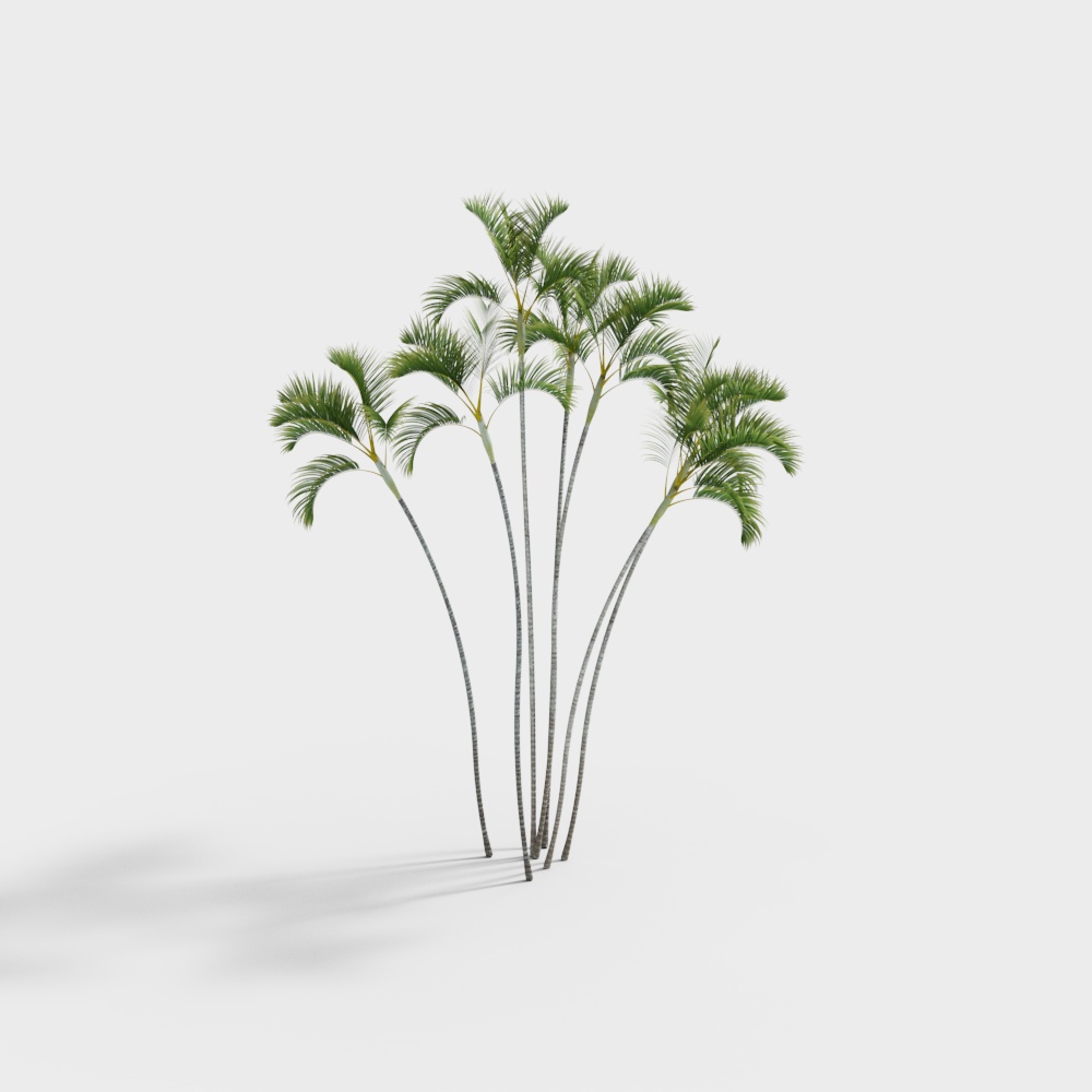 Tropical Palm Trees 3D model