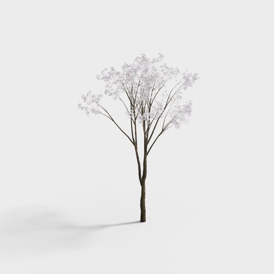 Vibrant Cherry Blossom Tree 3D model