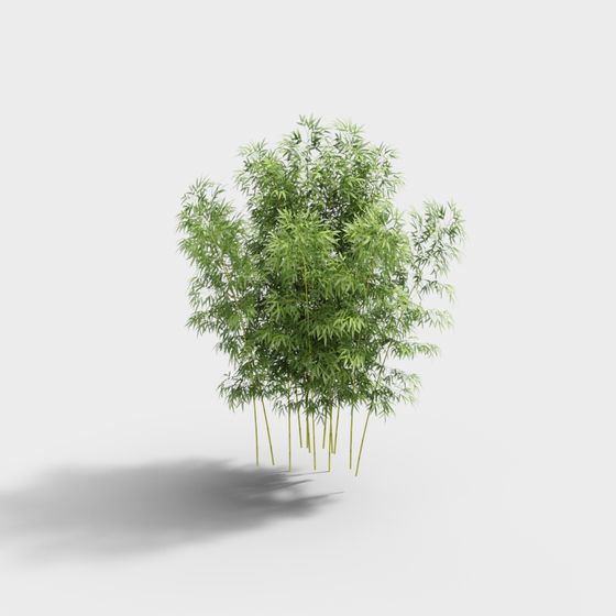 Bamboo Grove 3D model for Creative Projects