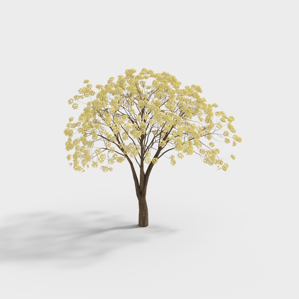Modern Golden Rain Tree