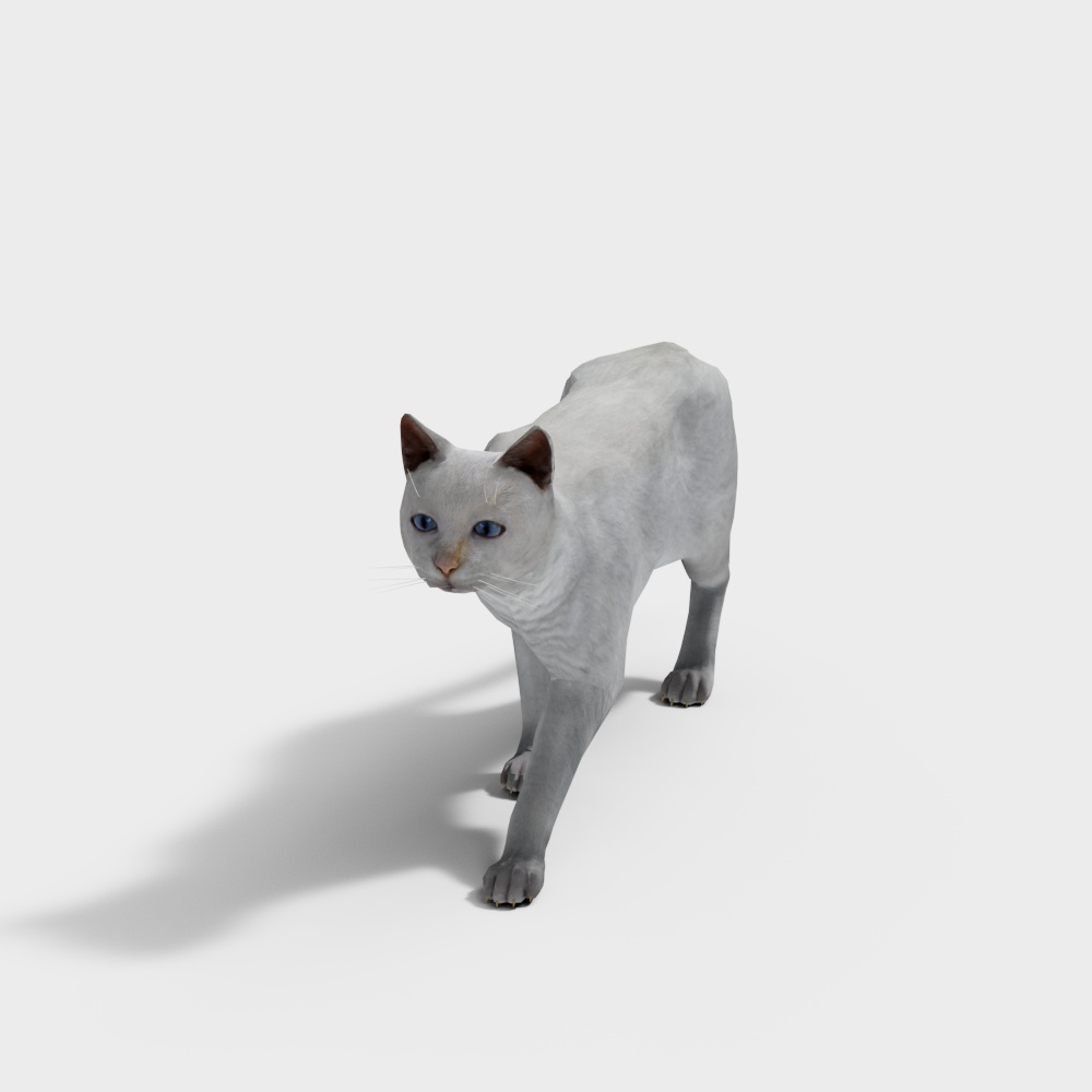 Low-Poly 3D Cat Model with Detailed Texture