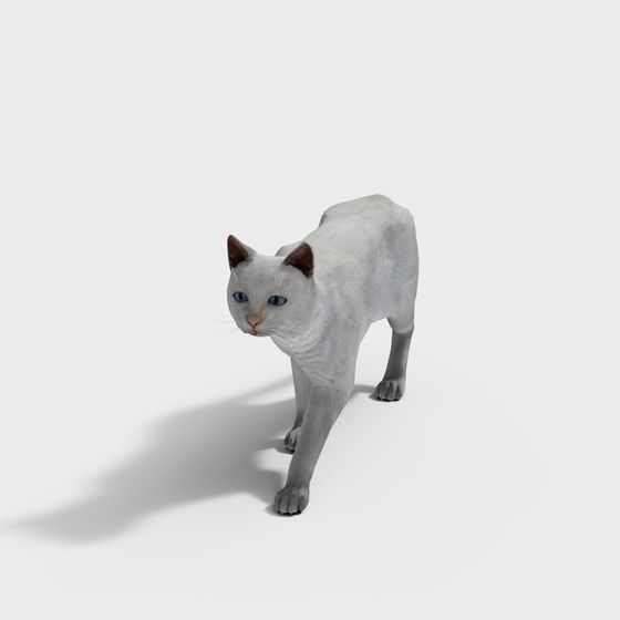 Low-Poly 3D Cat Model with Detailed Texture