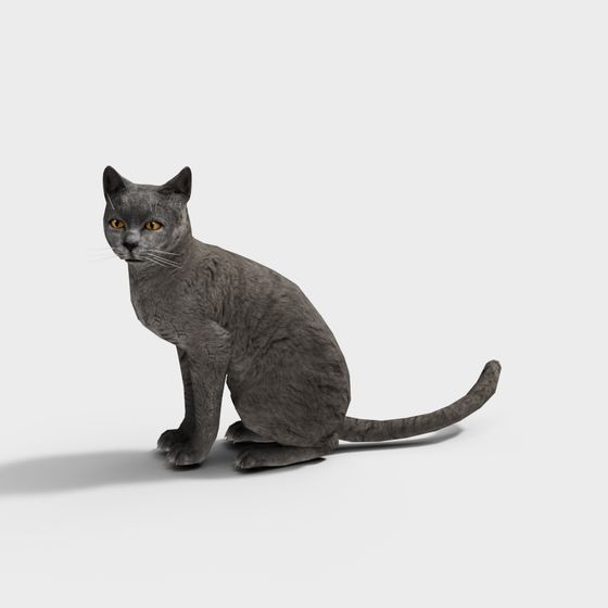 Snoopy the Cat 3D model - Realistic Gray Cat