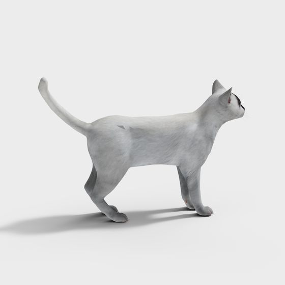 Realistic Low Poly Cat 3D model