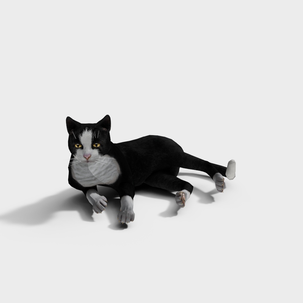 Relaxed Cat 3D Model